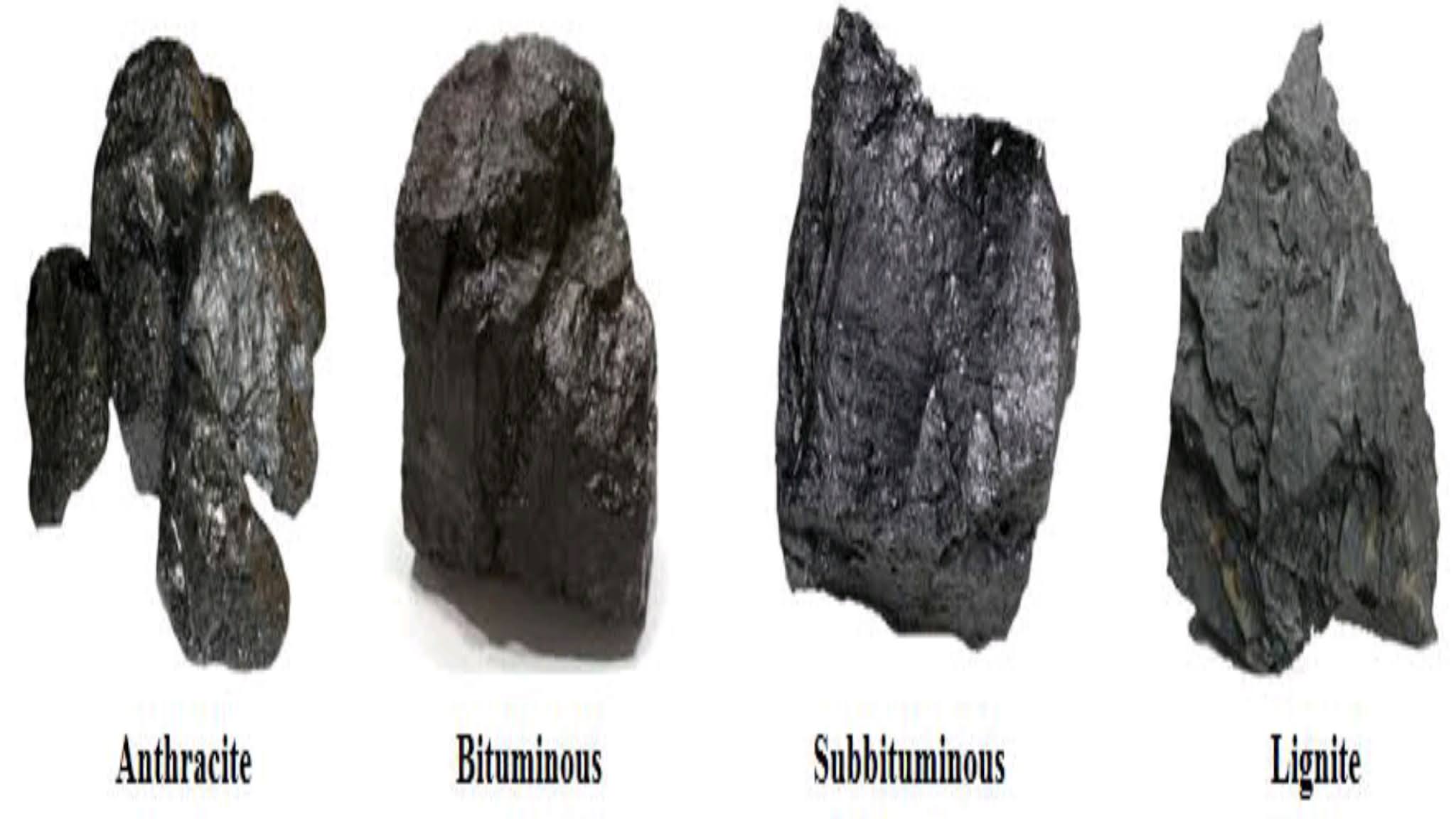 What Are 4 Types Of Coal?