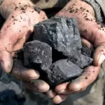 What Is Coal And Petroleum?