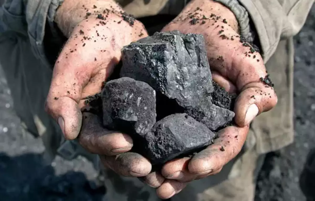 What Is Coal And Petroleum?